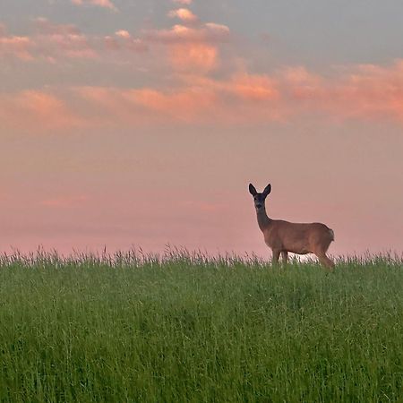 ホテル Dolina Sarenek セイニ エクステリア 写真