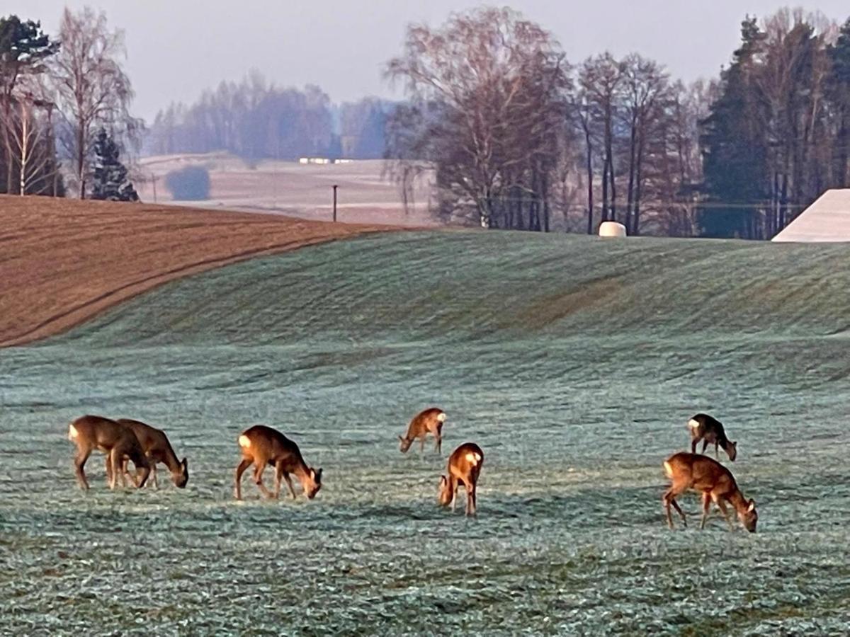 ホテル Dolina Sarenek セイニ エクステリア 写真